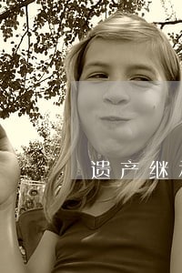 遗产继承律师 成都 遗产继承律师 成都